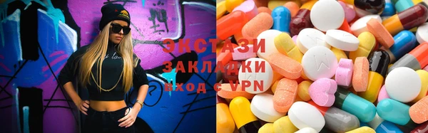 индика Гусь-Хрустальный