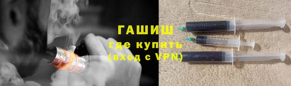 индика Гусь-Хрустальный