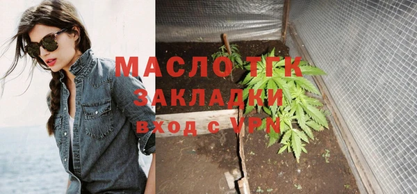 индика Гусь-Хрустальный