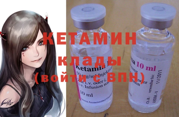 индика Гусь-Хрустальный