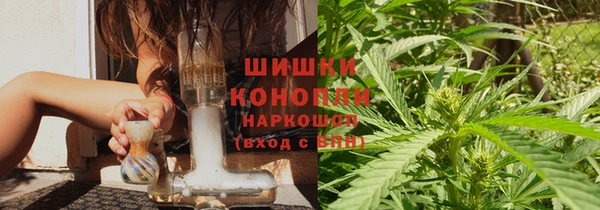 индика Гусь-Хрустальный