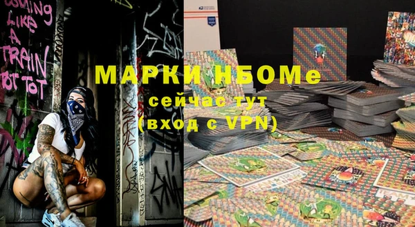 индика Гусь-Хрустальный