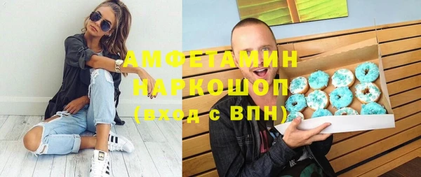 индика Гусь-Хрустальный
