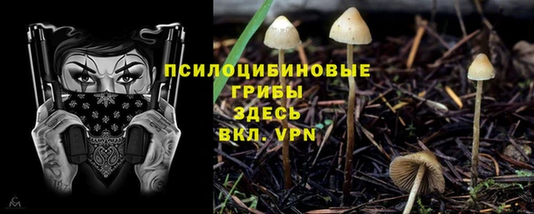 кокс Гусиноозёрск