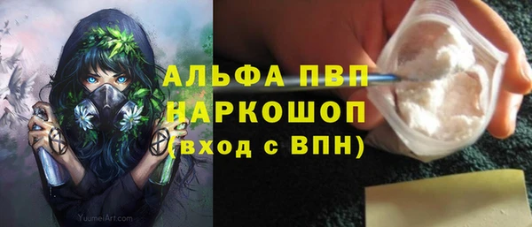 индика Гусь-Хрустальный