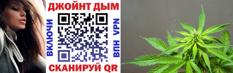 Каннабис конопля Завитинск